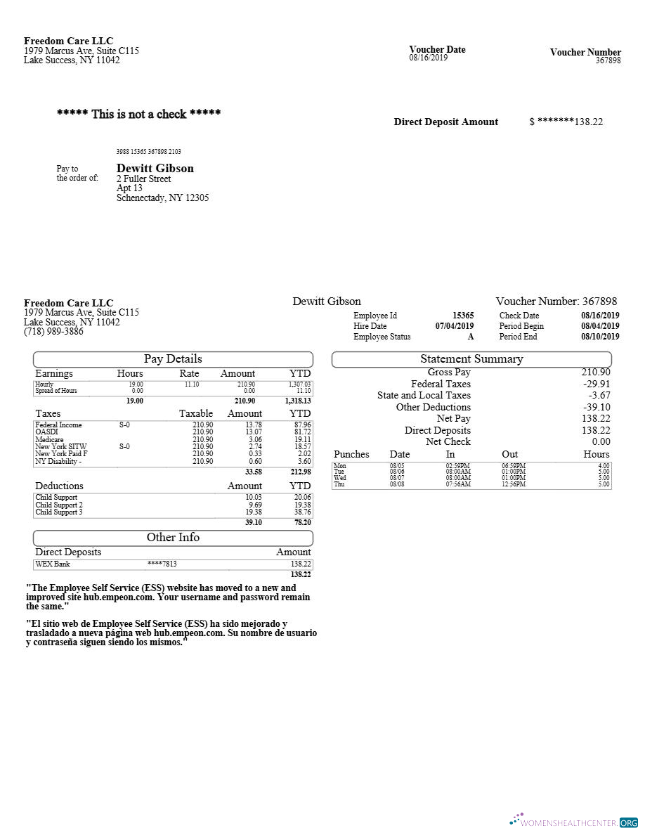 Download Freedom Care LLC pay stub template in Word and PDF formats.pdf, 1 Photoshop template